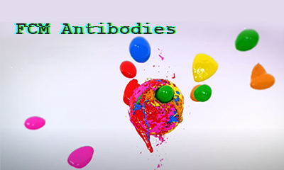 Flow Cytometry Antibodies