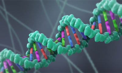 Analysis of Single Chain Antibody Sequences Using the VBASE2 Fab Analysis Tool