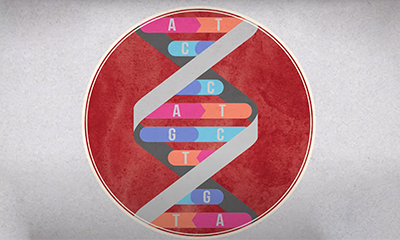 How to identify the CDRs by looking at a sequence