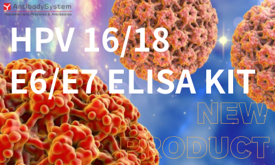 New Product | ELISA KIT: When ELISA Meets HPV 16/18 E6/E7, A Protein Tracking Drama is About to Unfold