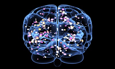 Neuroscience and Disease Research Tools