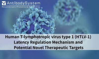 Nature Microbiology | Leukemia Virus (HTLV-1) Latency Regulation Mechanism and Potential Novel Therapeutic Targets
