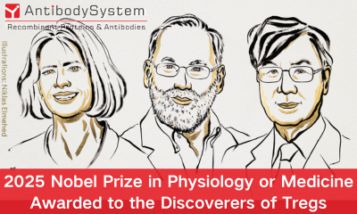2025 Nobel Prize in Physiology or Medicine Awarded to the Discoverers of Tregs 