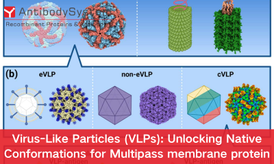 Virus-Like Particles (VLPs): Unlocking Native Conformations for Multipass membrane protein