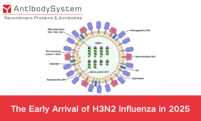 The Early Arrival of H3N2 Influenza in 2025