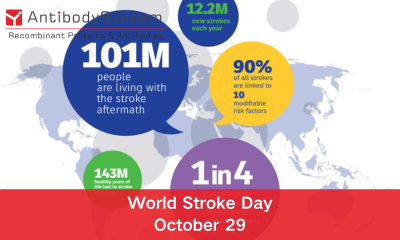 World Stroke Day