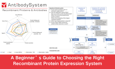 A Beginner&rsquo;s Guide to Choosing the Right Recombinant Protein Expression System
