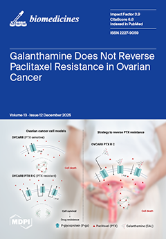 Reversing the Irreversible: miRNA-Targeting Mesyl Phosphoramidate Oligonucleotides Restore Sensitivity to Cisplatin and Doxorubicin of KB-8-5 Epidermoid Carcinoma Cells