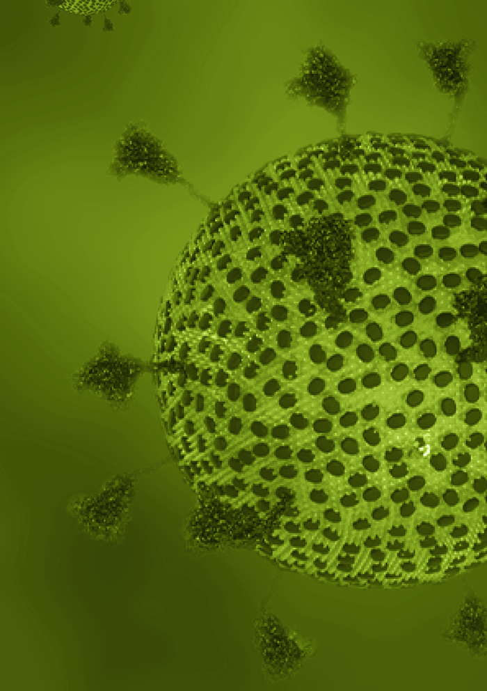 Coordinated interactions among Nipah virus N, P and M proteins drive formation of distinct inclusion bodies
