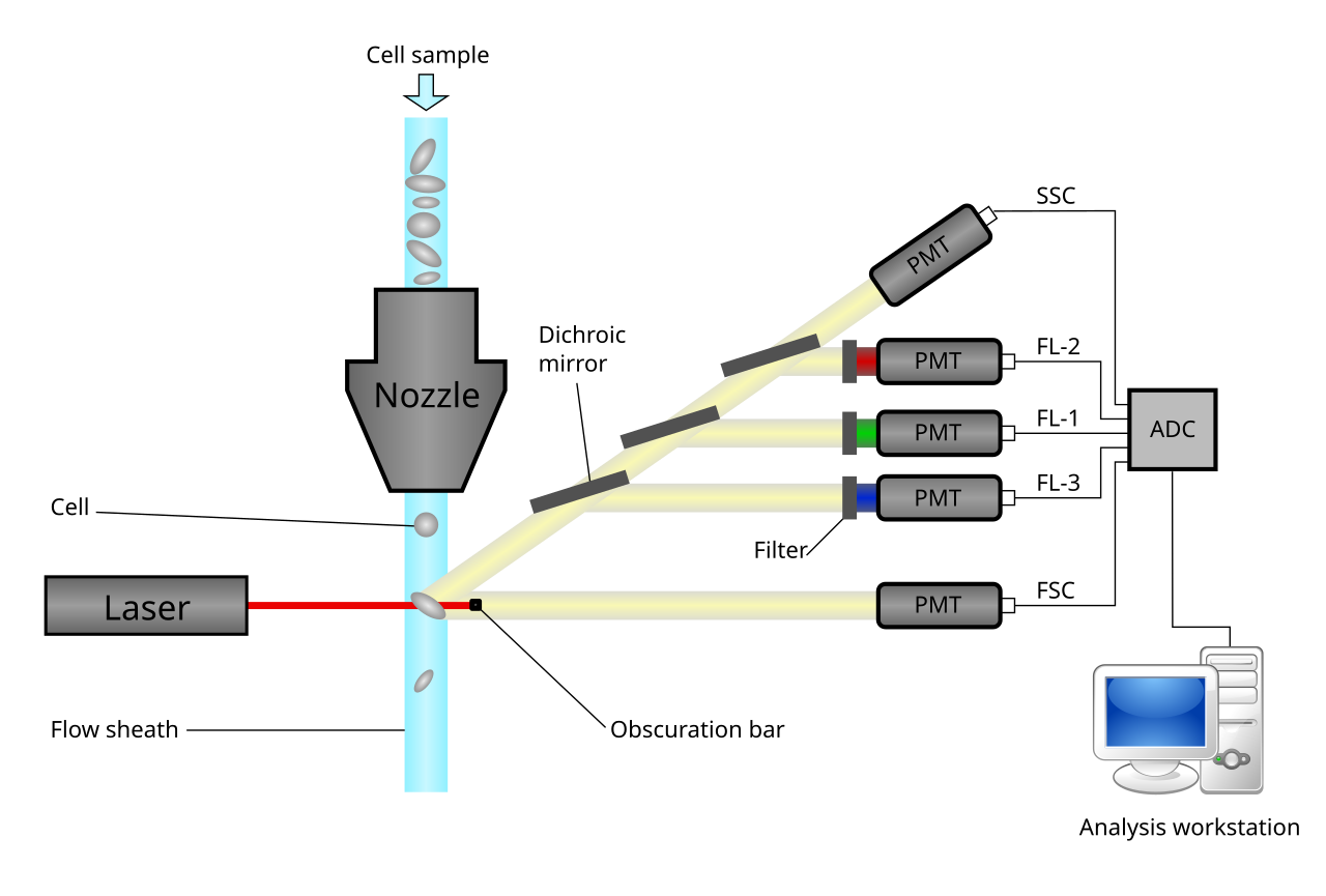 Flow Cytometry Data Analysis A Practical Guide to Interpreting Results ...