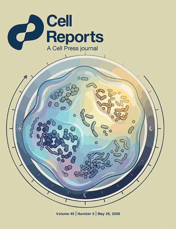Targeting EP2/EP4-driven expansion of suppressive VSIG4high macrophages overcomes immunotherapy resistance in colorectal cancer