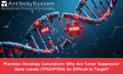 Precision Oncology Conundrum: Why Are Tumor Suppressor Gene Losses (TP53/PTEN) So Difficult to Target?