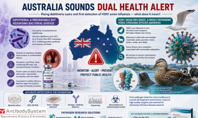 Australia Faces Dual Public Health Challenges: Rising Diphtheria Cases and the First Border Detection of H5N1 Avian Influenza