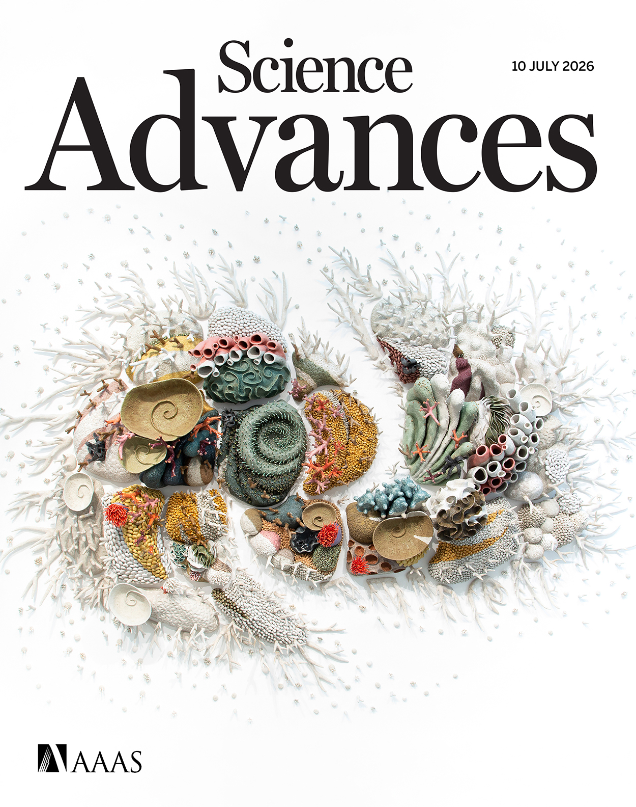 Literature Cover