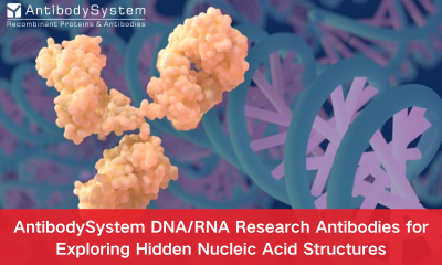 AntibodySystem DNA/RNA Research Antibodies for Exploring Hidden Nucleic Acid Structures