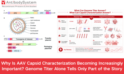 Why Is AAV Capsid Characterization Becoming Increasingly Important? Genome Titer Alone Tells Only Part of the Story