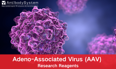 Adeno-Associated Virus (AAV) Research Reagents