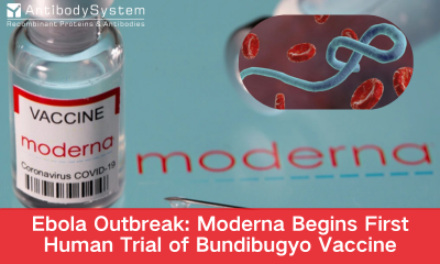 Ebola Outbreak: Moderna Begins First Human Trial of Bundibugyo Vaccine&mdash;&mdash;Related Research Tools from AntibodySystem