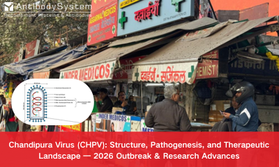 Chandipura Virus (CHPV): Structure, Pathogenesis, and Therapeutic Landscape