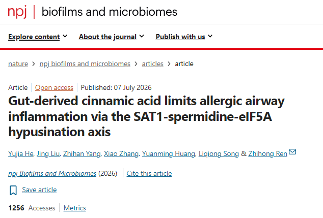 Gut-derived cinnamic acid limits allergic airway inflammation via the SAT1-spermidine-eIF5A hypusination axis