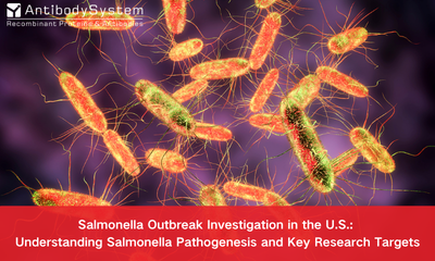 Salmonella Outbreak Investigation in the U.S.: Understanding Salmonella Pathogenesis and Key Research Targets
