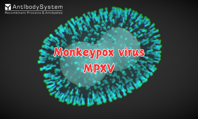 Mpox Virus (Monkeypox Virus, MPXV)