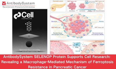 AntibodySystem SELENOP Protein Supports Cell Research: Revealing a Macrophage-Mediated Mechanism of Ferroptosis Resistance in Pancreatic Cancer