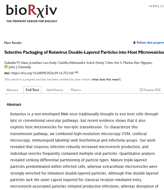 Selective Packaging of Rotavirus Double-Layered Particles into Host Microvesicles