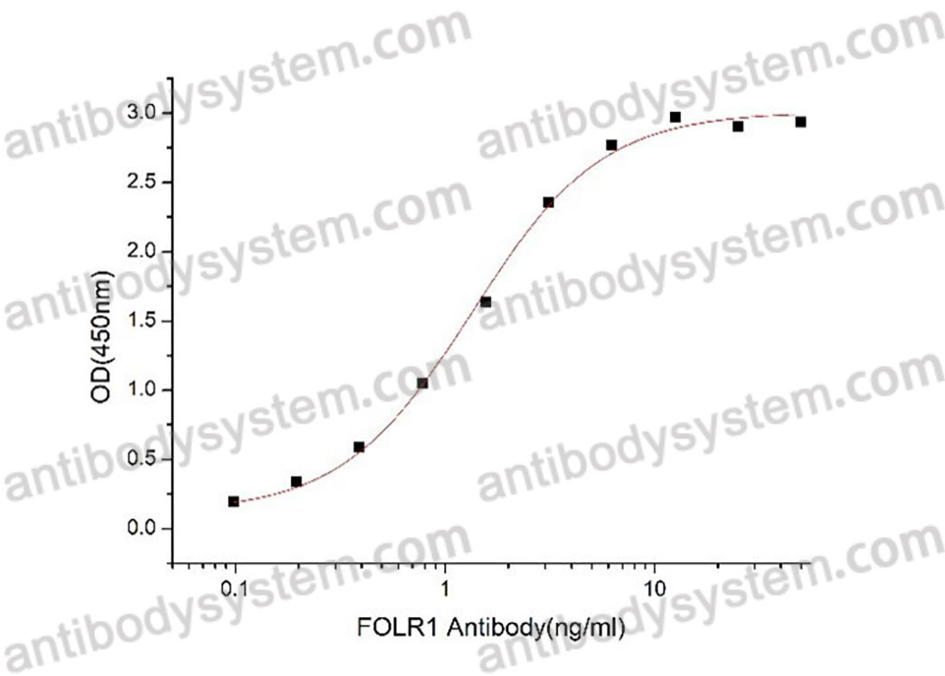 Recombinant Human FOLR1 Protein, C-His (Active)