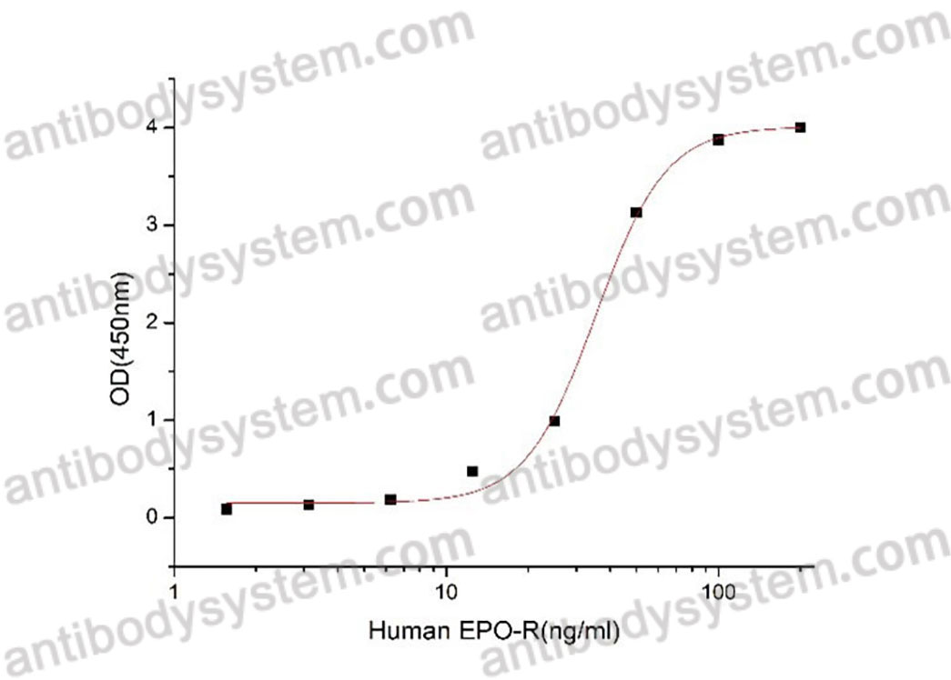 Recombinant Human EPOR Protein, C-hFc-His (Active)