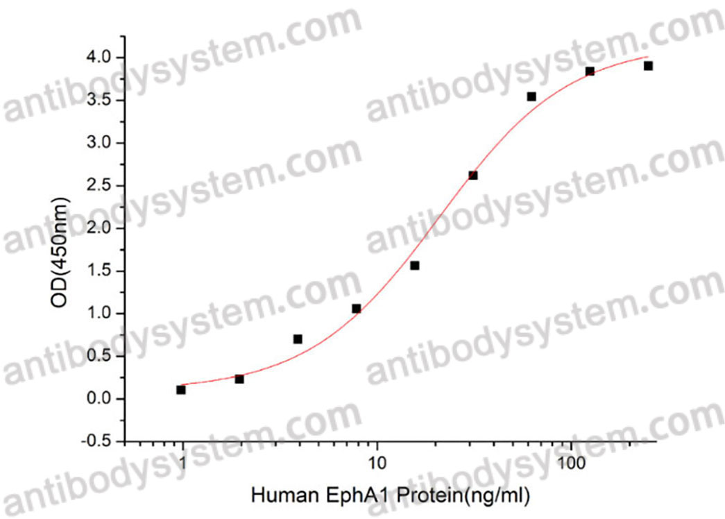 Recombinant Human EFNA1 Protein, C-His (Active)
