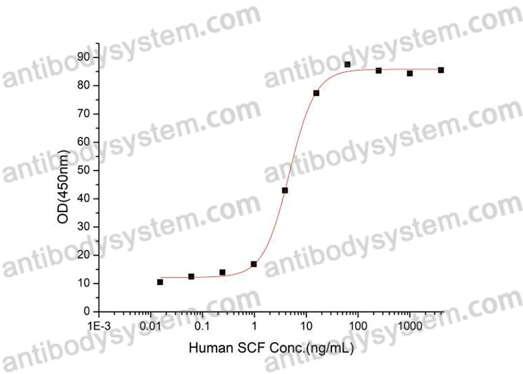 Recombinant Human KITLG/SCF Protein, C-His (Active)