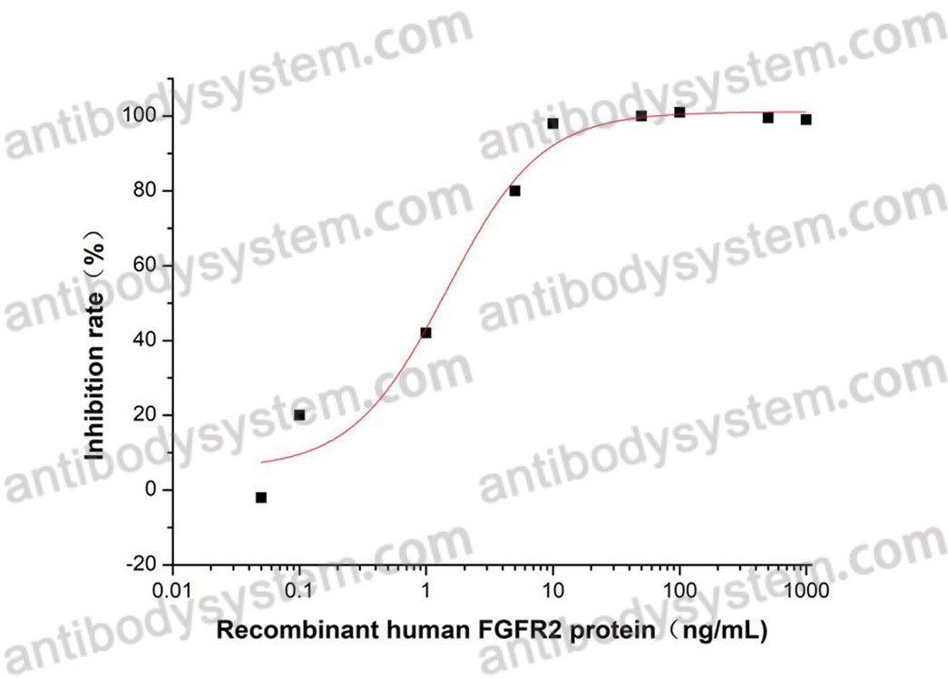Recombinant Human CD332/FGFR2 Protein, C-hFc-His (Active)