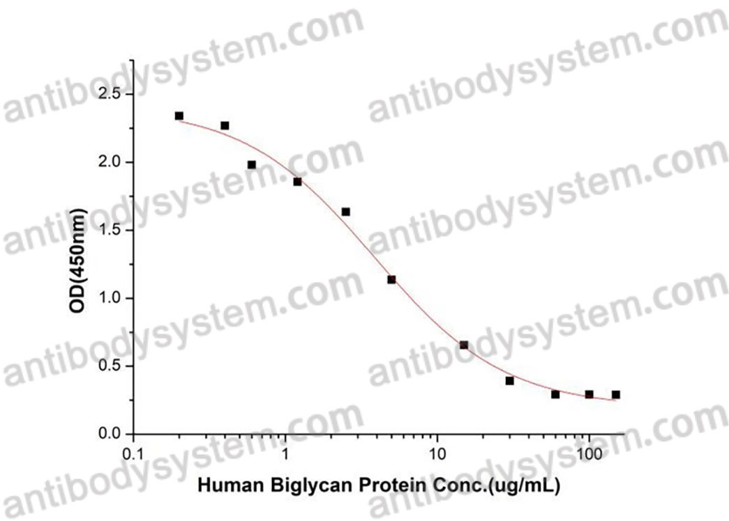 Recombinant Human BGN Protein, C-His (Active)
