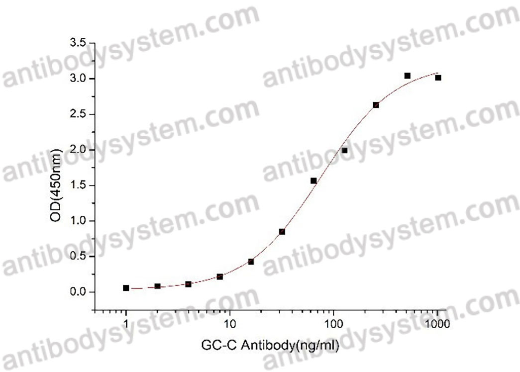 Recombinant Human GUCY2C/GCC Protein, C-His (Active)