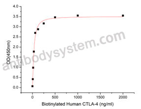 Recombinant Human CD80/B7-1 Protein, C-His (Active)