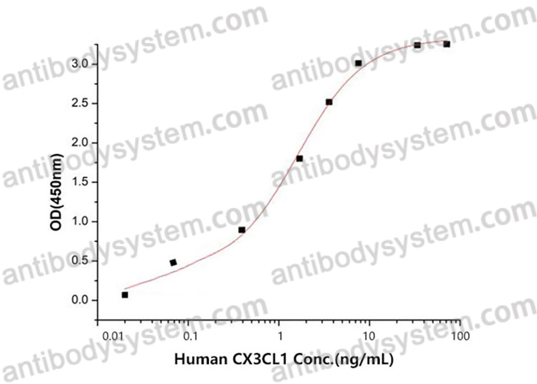 Recombinant Human CX3CL1/Fractalkine Protein, C-His (Active)