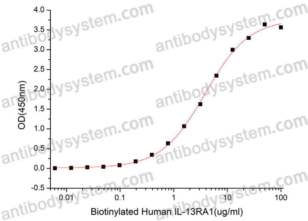 Recombinant Human CD213a1/IL13RA1 Protein, C-His (Active)