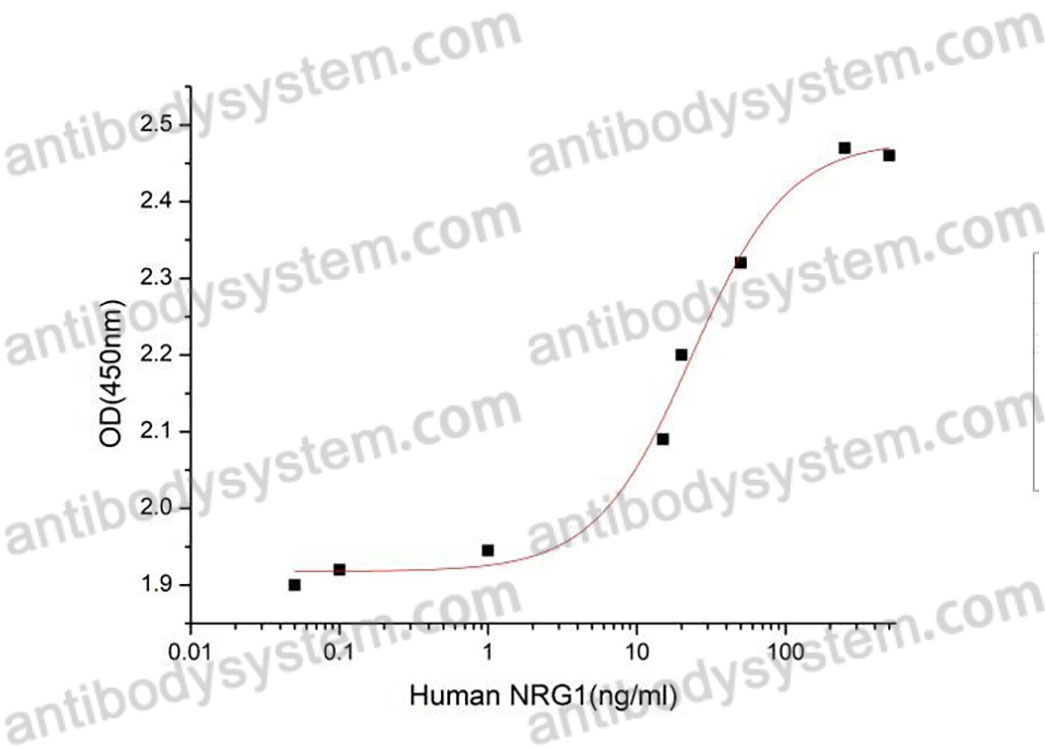 Recombinant Human NRG1/Neuregulin-1 Protein, No tag (Active)