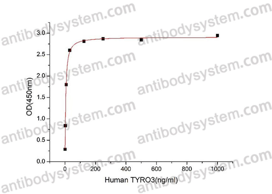 Recombinant Human TYRO3/DTK/SYK Protein, C-hFc-His (Active)
