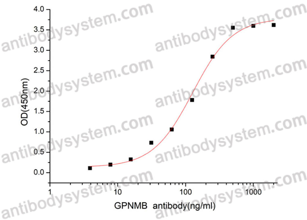 Recombinant Human GPNMB Protein, C-His (Active)