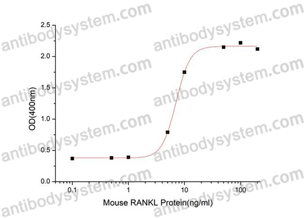 Recombinant Mouse CD254/RANKL/TNFSF11 Protein, N-hFc (Active)