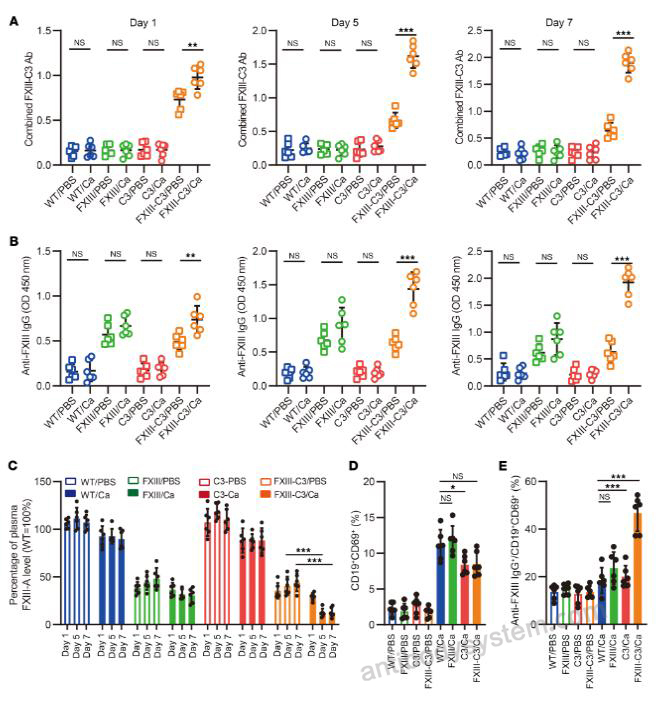 Bioactivity for Recombinant Mouse C3/Complement C3 Protein, C-His (Active) ?>