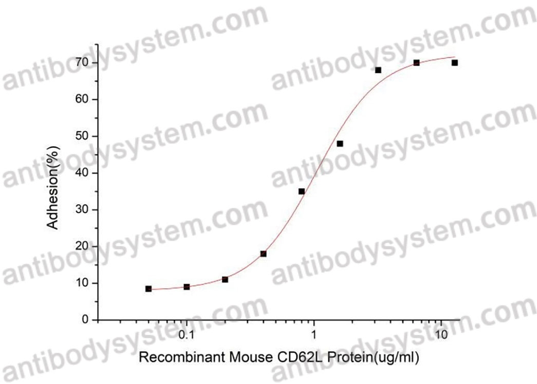 Recombinant Mouse CD62L/SELL Protein, C-hFc-His (Active)