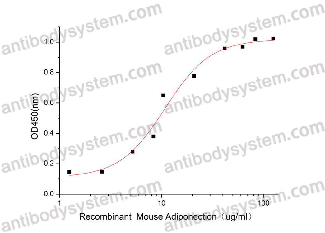 Recombinant Mouse Adiponectin/ACRP30/ADIPOQ Protein, C-His (Active)