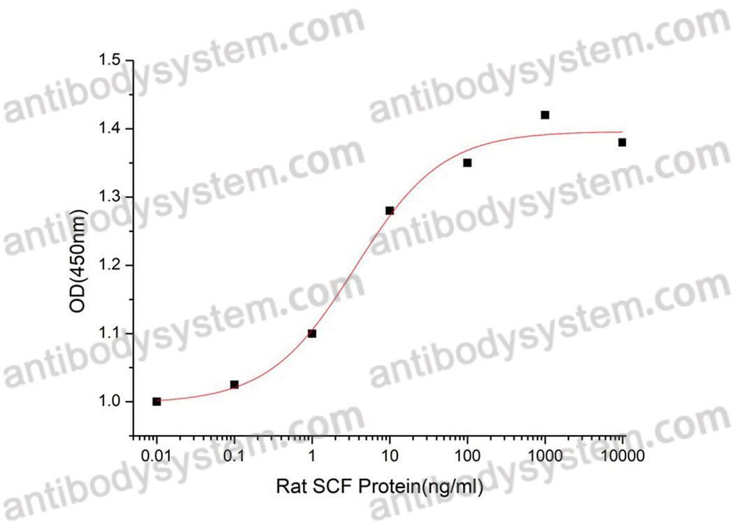 Recombinant Rat KITLG/SCF Protein, C-His (Active)
