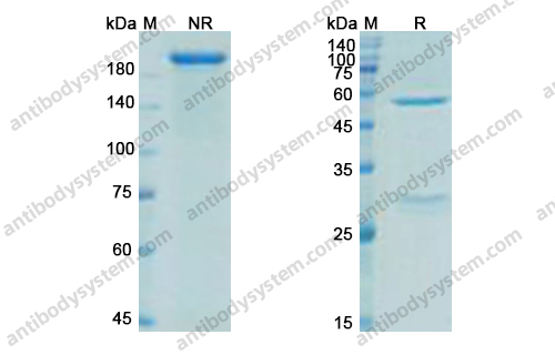 Research Grade Ecromeximab
