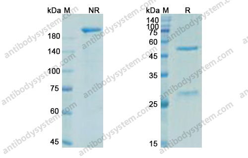 Research Grade Trevogrumab