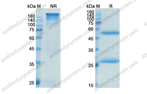 Research Grade Lupartumab