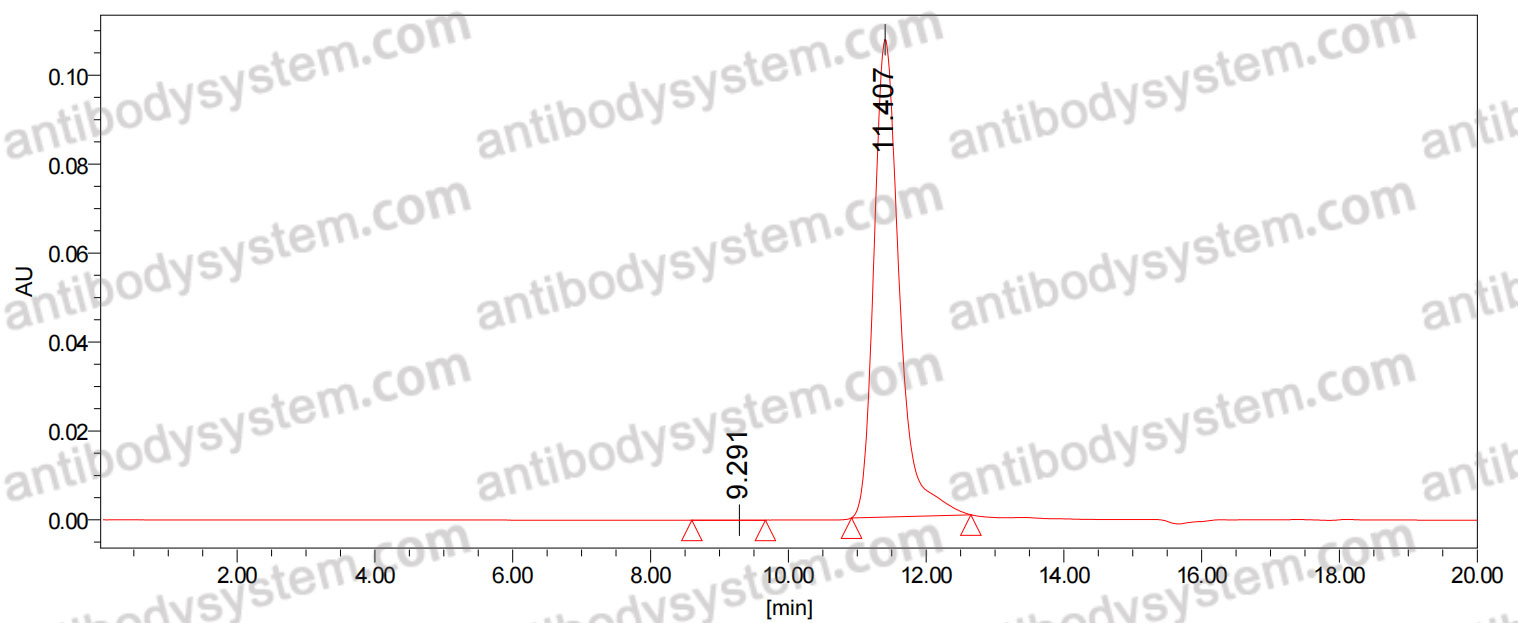 Research Grade Anti-Human LY6G6D/MEGT1 (1G4)